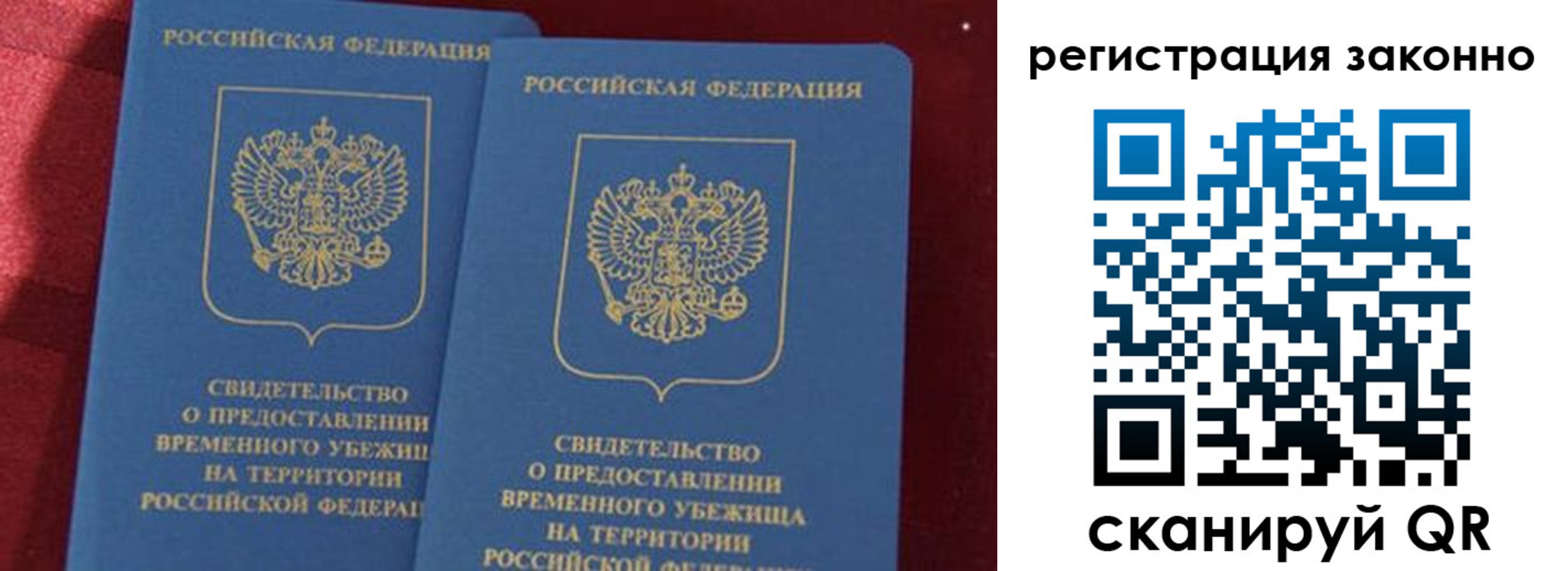 прописка в Мытищах